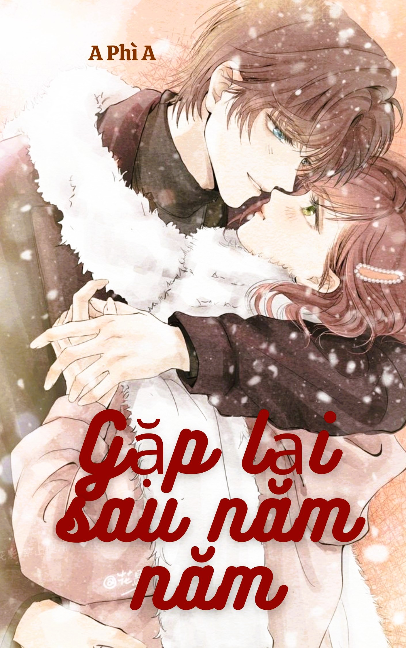 Gặp Lại Sau Năm Năm